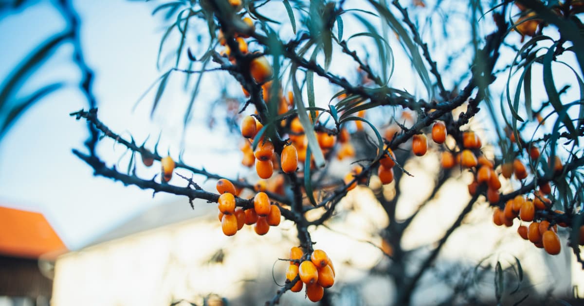 UroLux Concierge™ Lança Centro Especializado em Menopausa para Abordar o Estresse das Festas e Lacunas Mais Amplas nos Cuidados