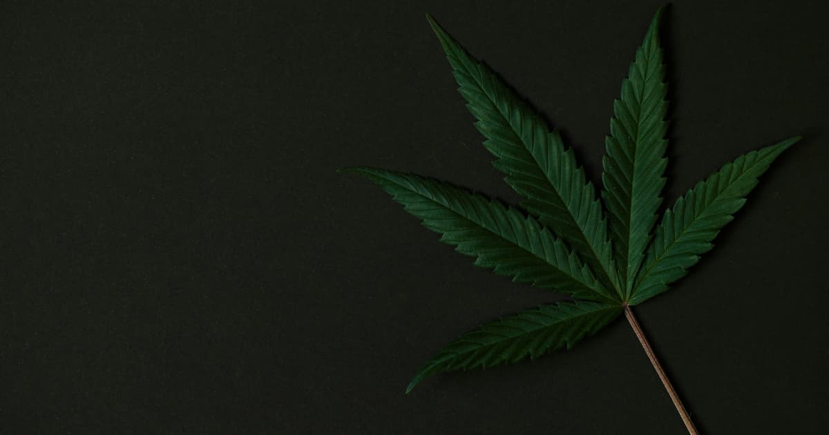 Splash Beverage Group Entra no Mercado de Bebidas com THC à Base de Cânhamo Através de Joint Venture com BAAD Ventures