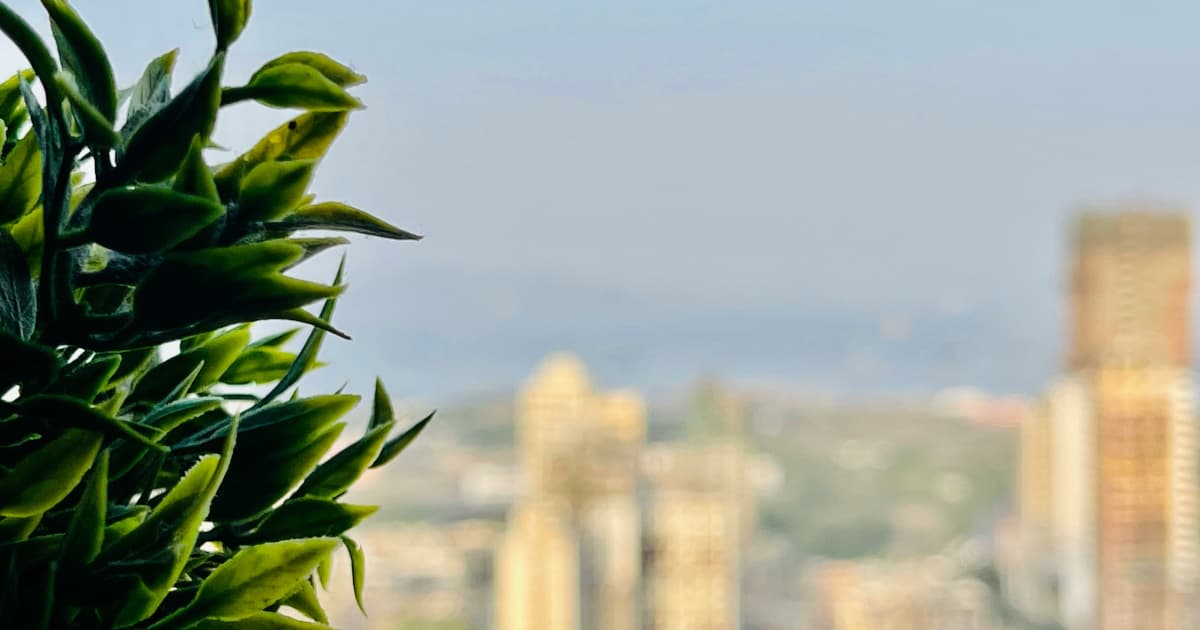 Flórida Avança Iniciativa de Votação para Maconha Recreacional Após Pressão