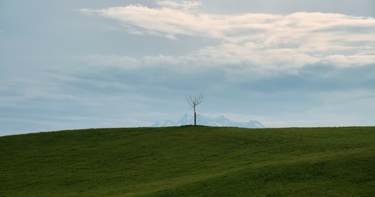 Acordo Solar da Microsoft em Espanha Liga Aquisição de Energia Renovável a Investimento Comunitário