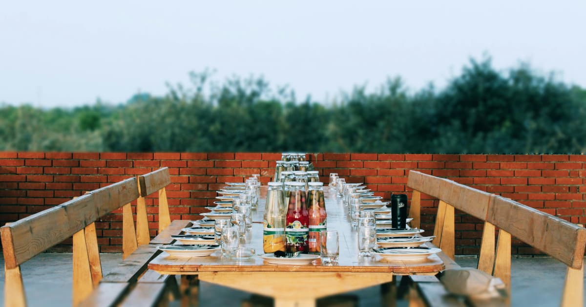 Laconiko Anuncia Nova Safra dos Premiados Azeites de Oliva Koroneiki Estate