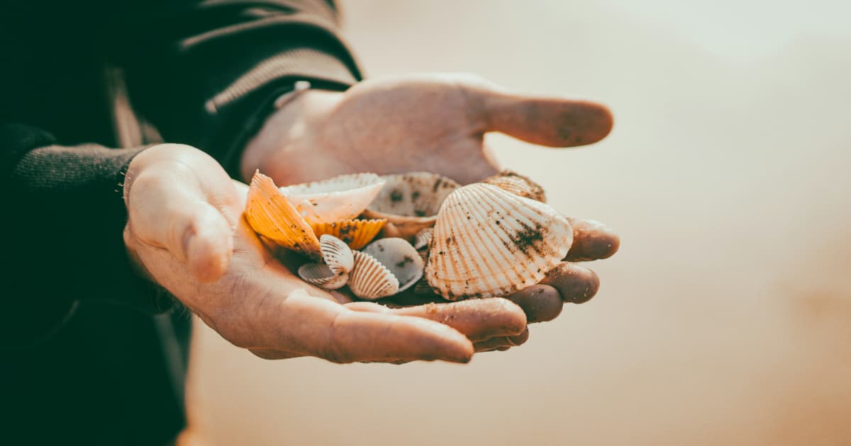 Estudo da Consolidated Credit Revela Dívida Residual das Festas que Persiste para Americanos ao Entrar na Temporada de 2025