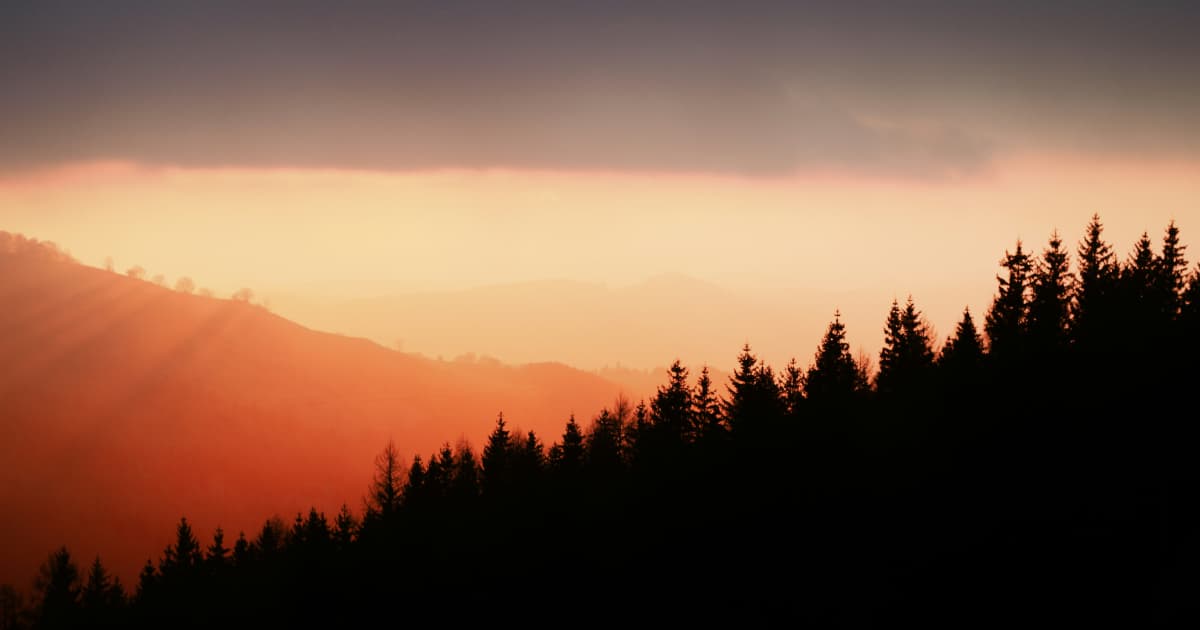 Primeira Arcebispa de Cantuária Será Empossada Com Bíblia Moderna, A Edição Heritage da Bíblia de São João