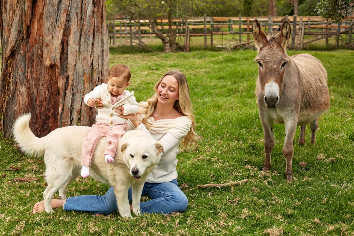 Fundadores da Search Atlas Inauguram Santuário Animal Permanente na Colômbia, com Apoio de Plataforma de SEO com IA