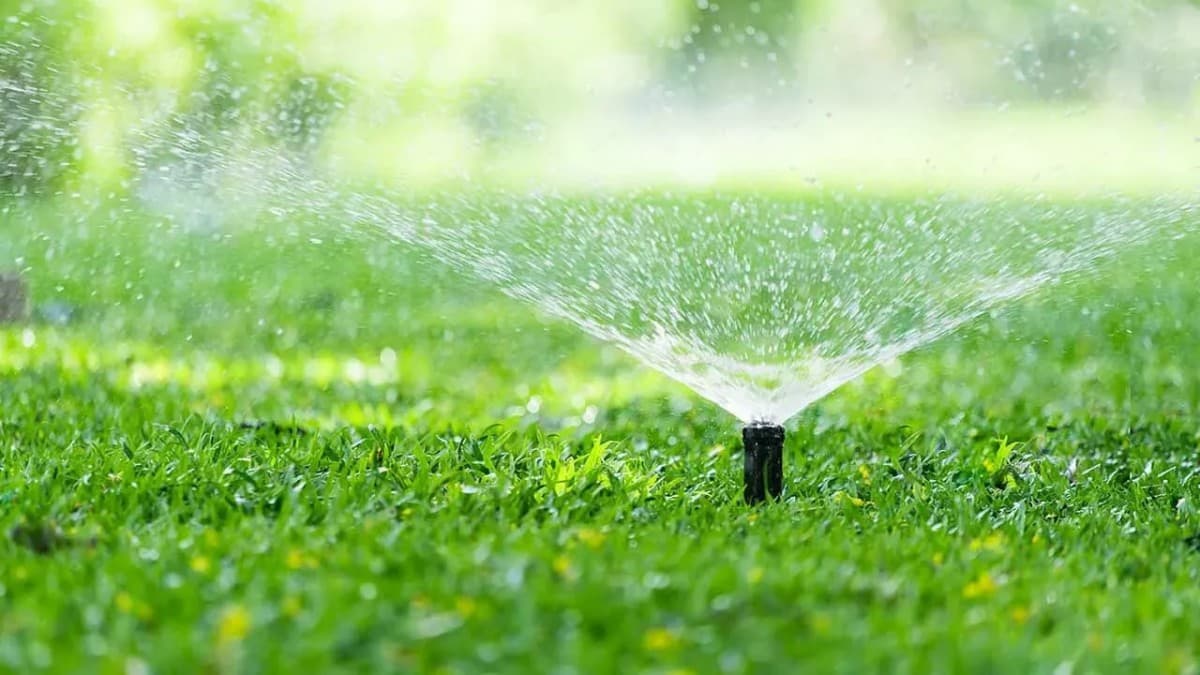 Elite Irrigation & Drainage Conquista Status de Contratante Preferencial Hunter e Junta-se à IANJ para Melhor Atendimento no Condado de Bergen