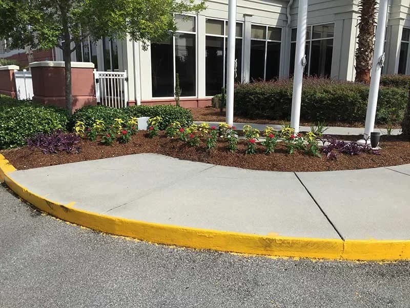 Turf Scouts Celebra 15 Anos de Serviços de Cuidados com Gramados em Savannah e Isle of Hope