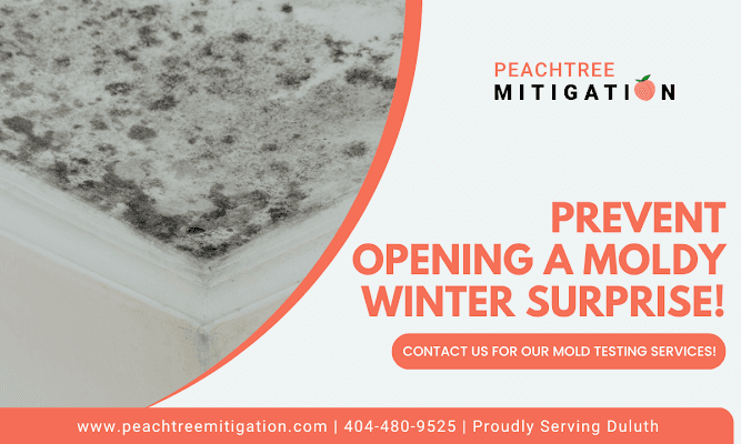 Empresa de Restauração de Duluth Incentiva Proprietários a Enfrentar Riscos Ocultos de Mofo por Meio de Testes Proativos