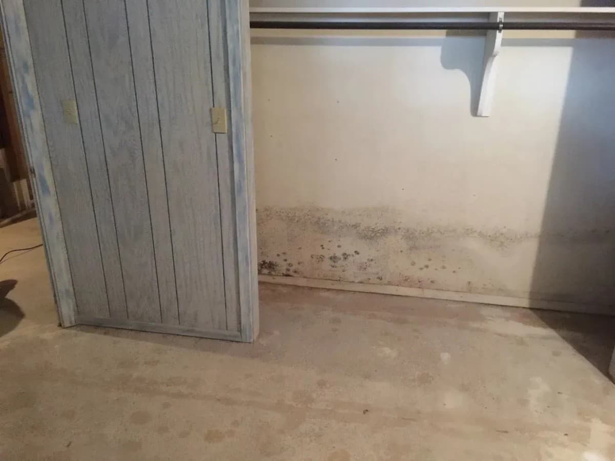 FreshCo Cleaning & Restoration Expande Serviços de Remediação de Mofo em Wichita com Inspeção Estruturada e Verificação da Qualidade do Ar