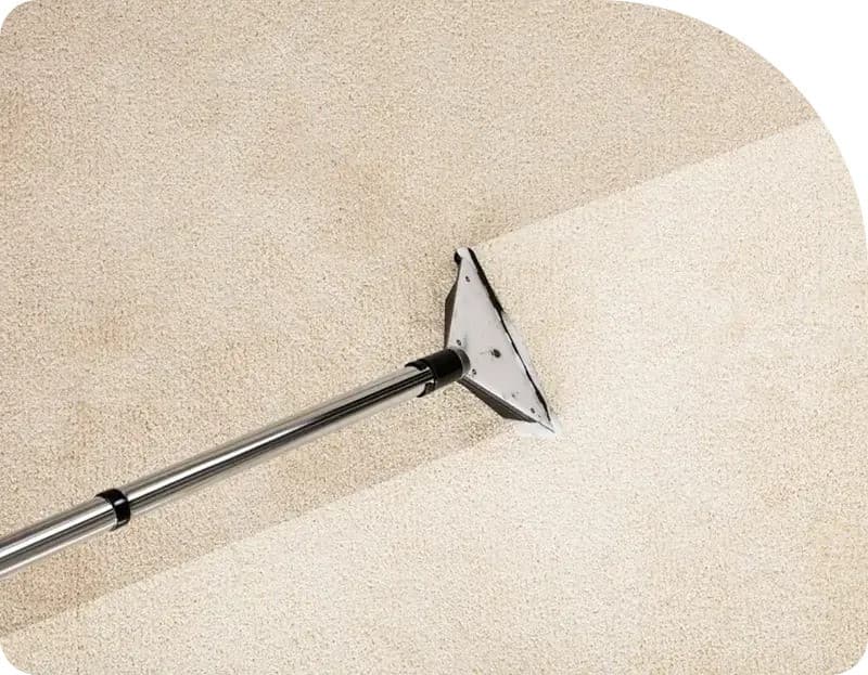 Avanços Tecnológicos da Flood Squad Redefinem Padrões de Restauração de Danos por Água em Sydney