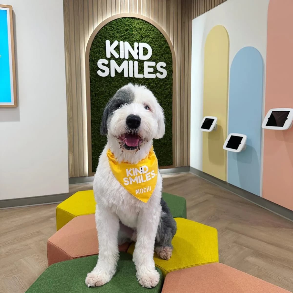 Kind Smiles Ortodontia e Odontopediatria Estabelece Cuidado Odontológico Familiar Completo em Irvine