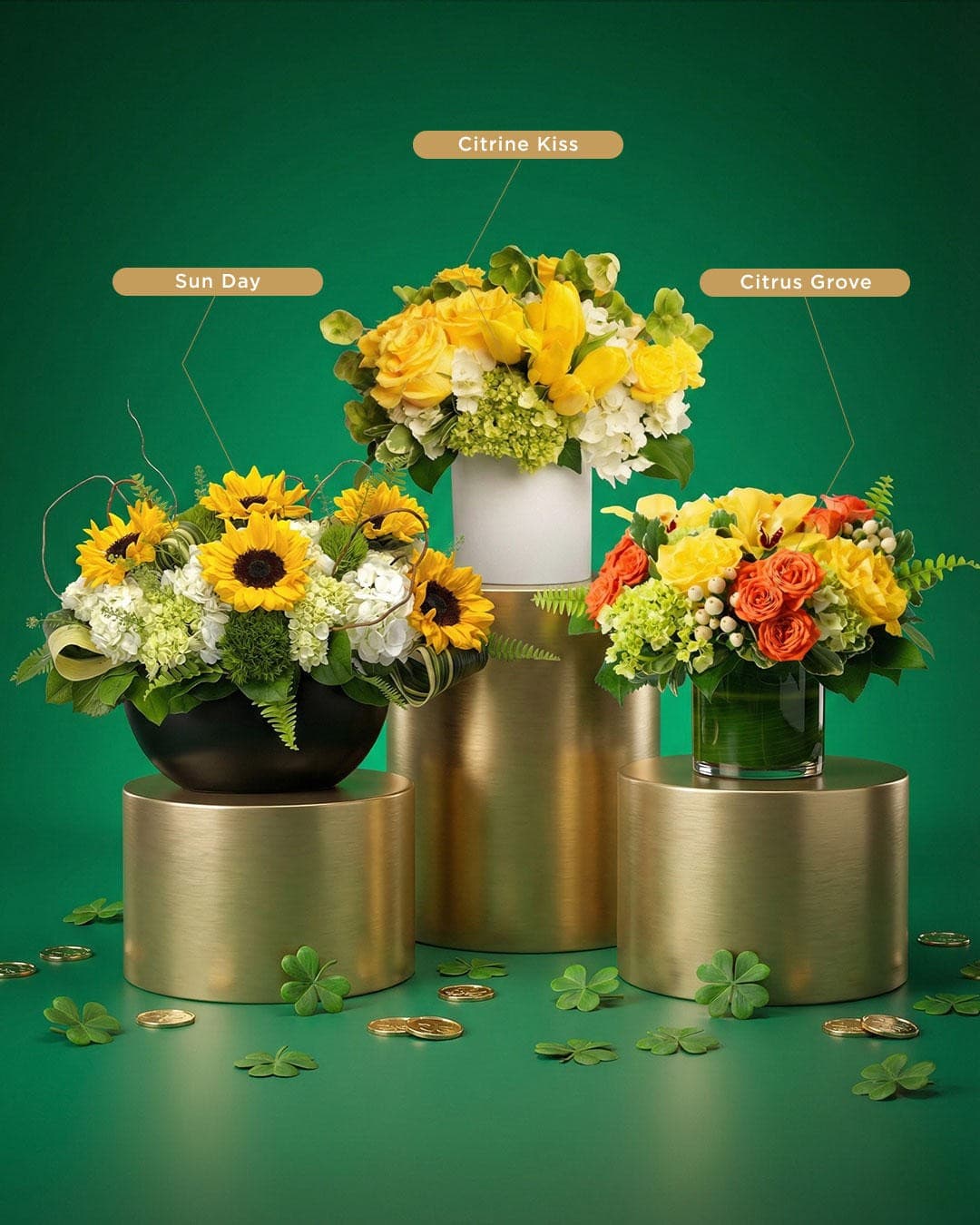 Florista de Juno Beach Lança Coleção Exclusiva de Orquídeas para a Comunidade Costeira