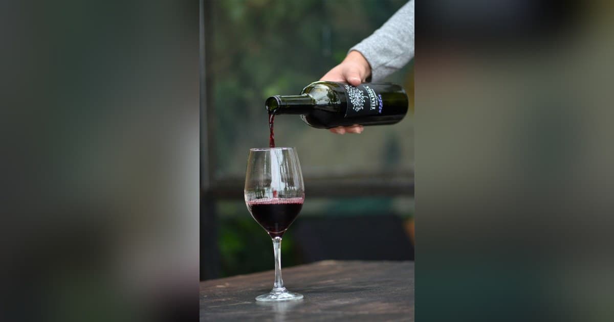 10Musica lança guia atualizado de calorias do vinho antes das festas de fim de ano