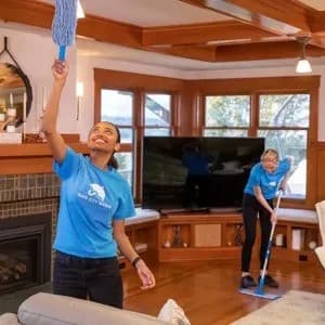 Rain City Maids Aprimora Plataforma Digital para Melhorar Experiência do Cliente e Expansão Regional