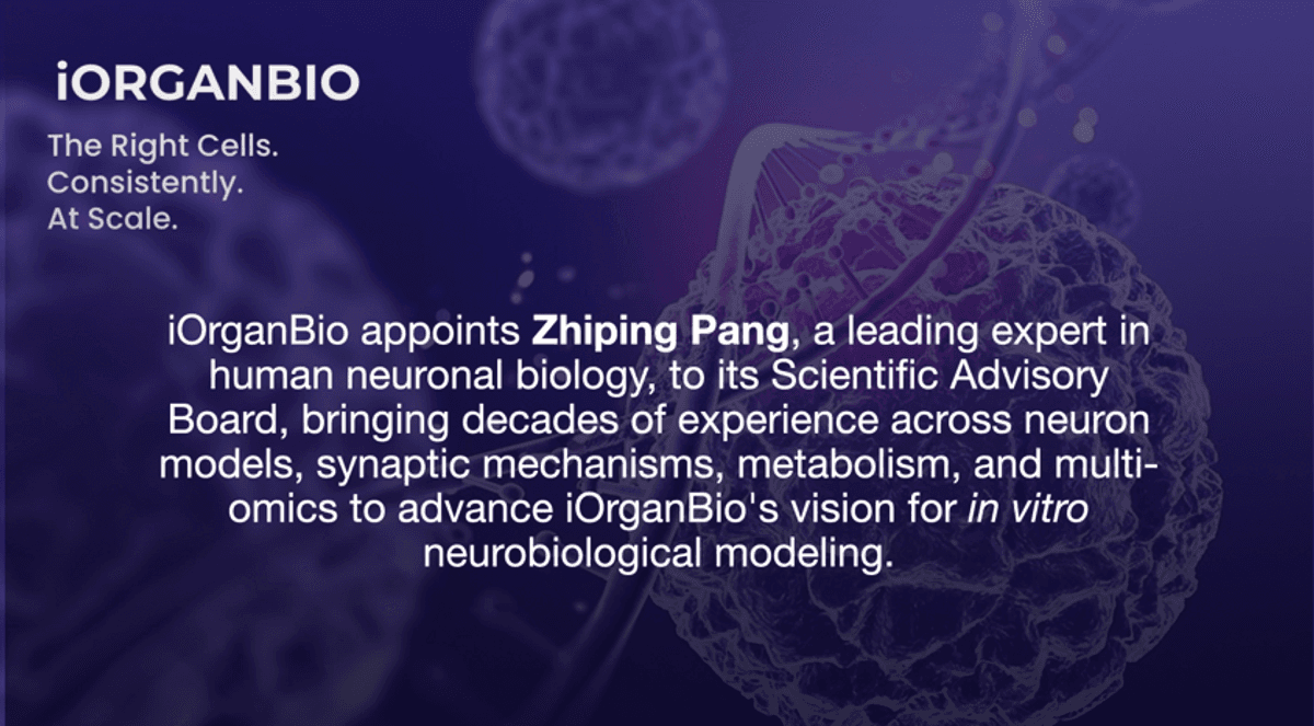 iOrganBio nomeia especialista em neurobiologia Zhiping Pang para o Conselho Consultivo Científico