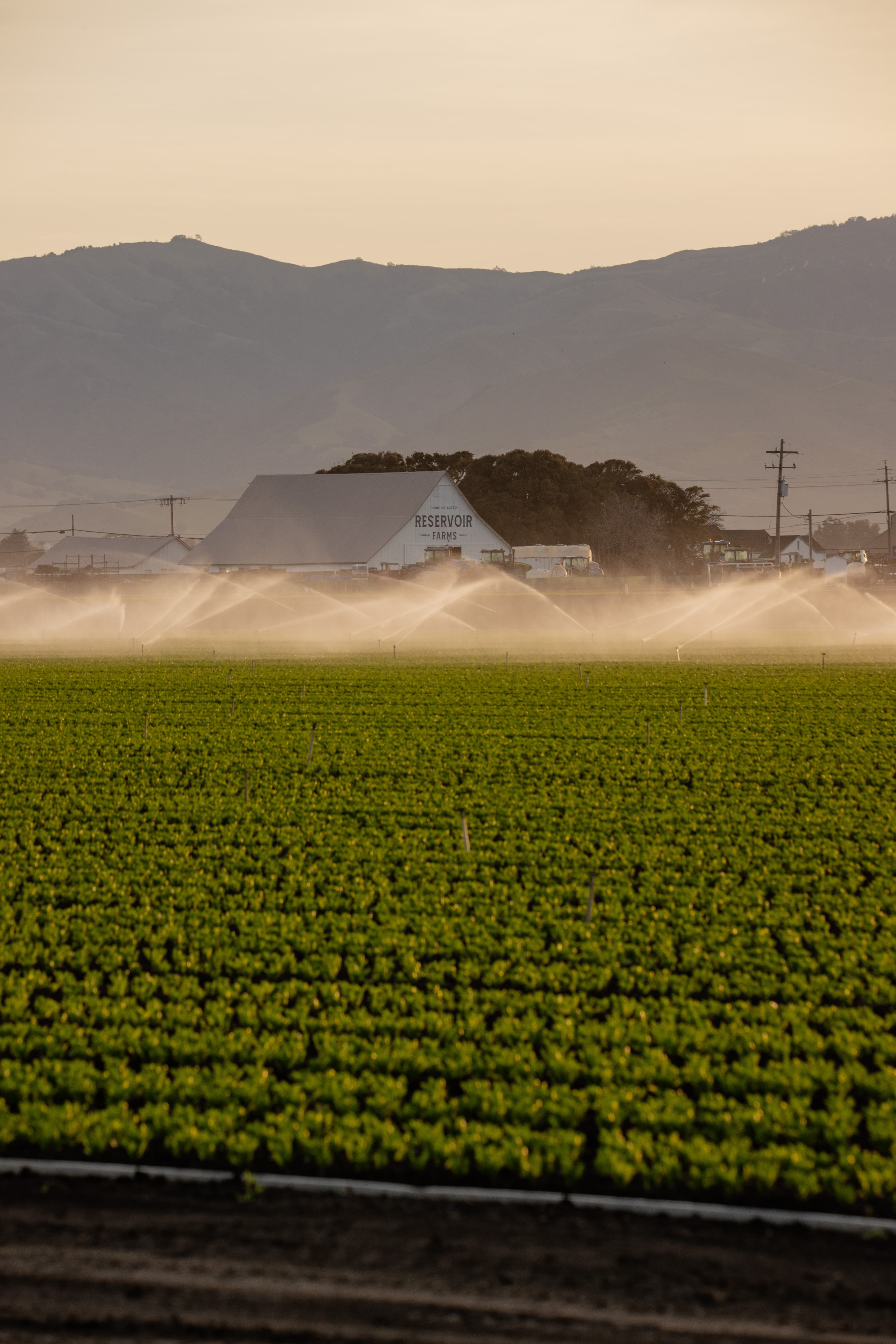 Reservoir Lança Nível Gratuito de Associado para Reduzir Barreiras na Inovação AgTech