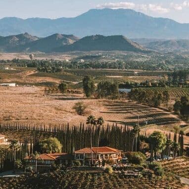 Região Vinícola do Sul da Califórnia Surge como Hub Logístico Estratégico em Meio a Mudanças Tarifárias