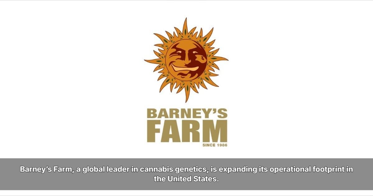 Barney's Farm revive cepas clássicas de cannabis para cultivo moderno na expansão nos EUA