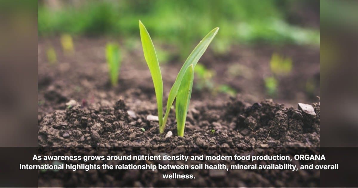 ORGANA International Destaca a Ligação Entre Saúde do Solo e Nutrição Humana