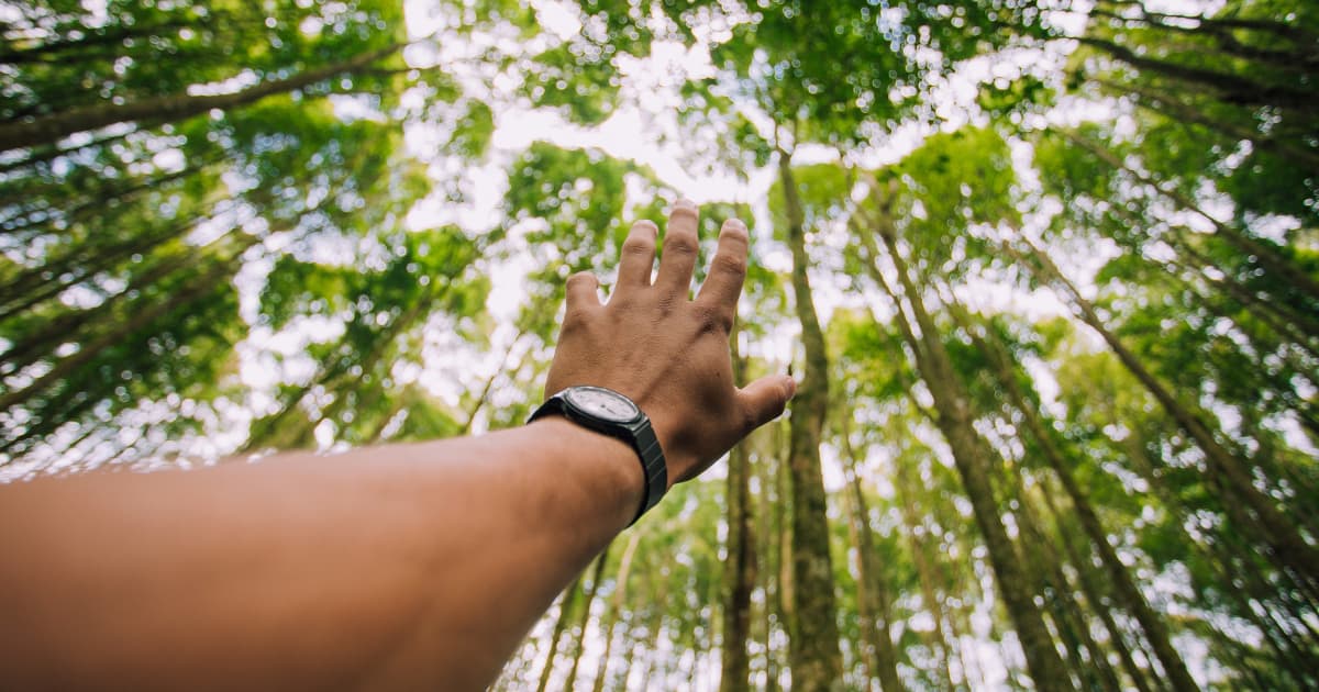 Soluções Estratégicas de Capital e Apoio Comunitário: Como Charles Principato Conecta Ciclos Empresariais e Necessidades Locais