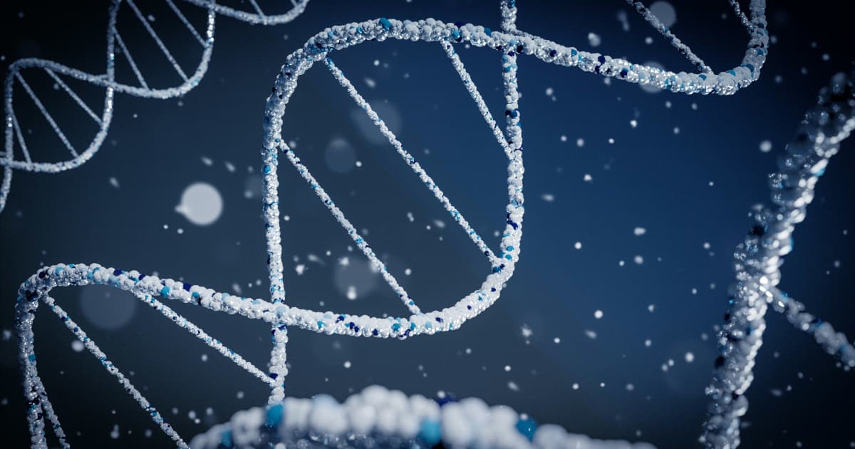 Powermax Minerals Avança Estratégia de Exploração de Terras Raras com Novo Programa em Ontário e Progresso na Colúmbia Britânica