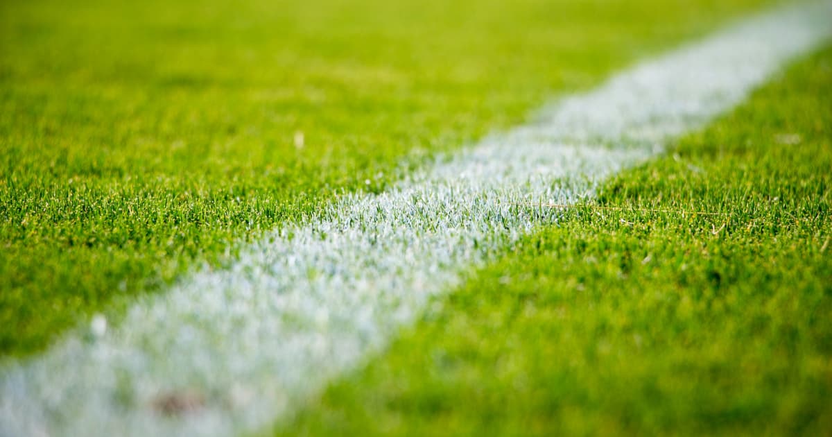 Executivos e Diretor da Newton Golf Company Adquirem Ações Após Resultados Recorde do Terceiro Trimestre