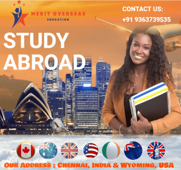 Merit Teacher Amplia Serviços Educacionais com Ferramentas Avançadas de Desenvolvimento de Carreira