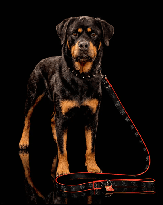 Freak On a Leash Expande Linha de Equipamentos de Couro para Cães para Donos Alternativos