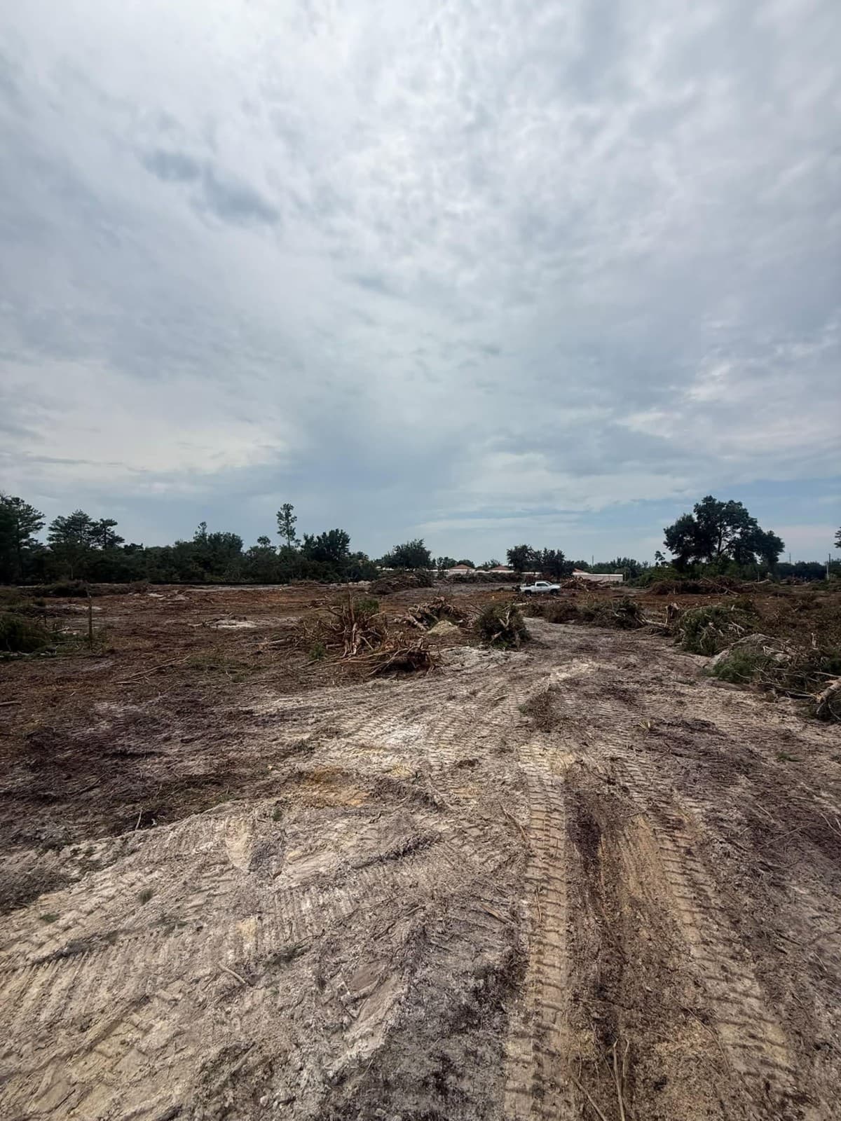 VB Tree Removal Lança Guia Abrangente sobre Limpeza de Terrenos e Mulching Florestal