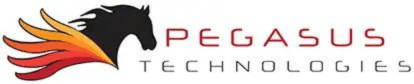 Pegasus Technologies Troca Racks de Servidores por Tacos de Golfe no Torneio da Câmara de Greater West Chester