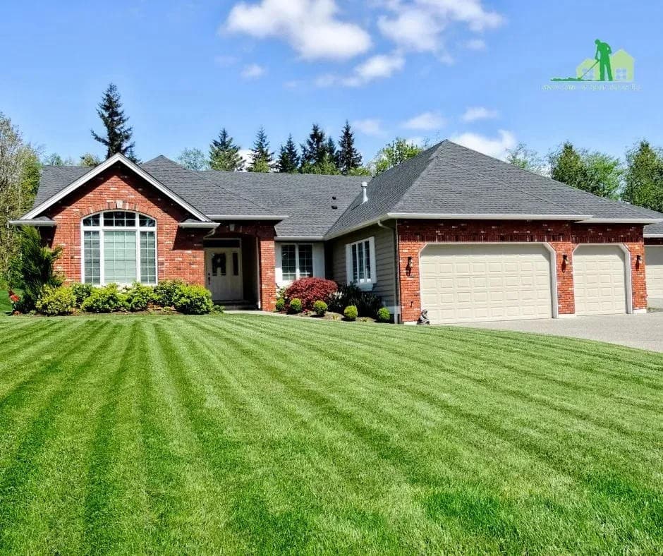 Lawn Care of Saint Johns apresenta opções de tratamento de gramado seguras para animais de estimação para clientes residenciais e comerciais
