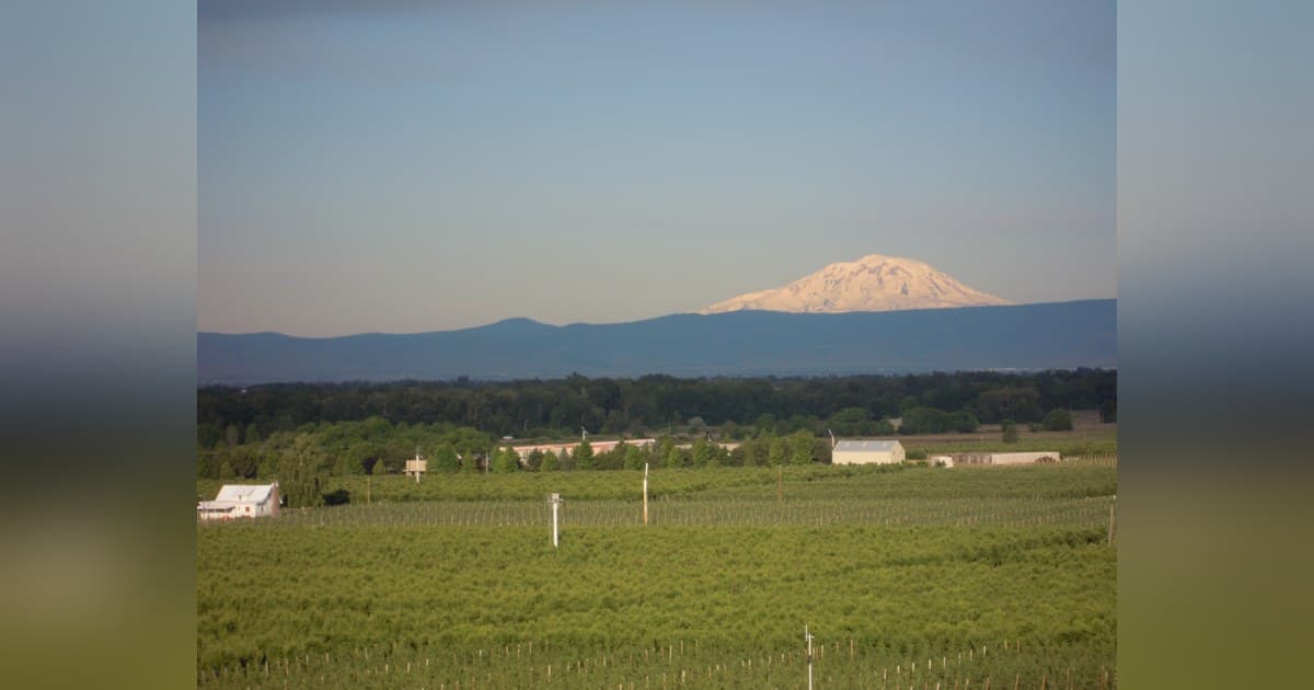 Reservoir Farms abrirá hub no estado de Washington para IA física em frutas de caroço e mirtilos