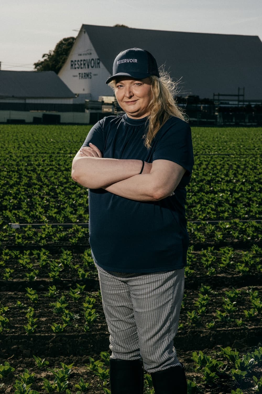 Reservoir Adquire Contain e Expande Plataforma de Venture para Acelerar Startups de AgTech